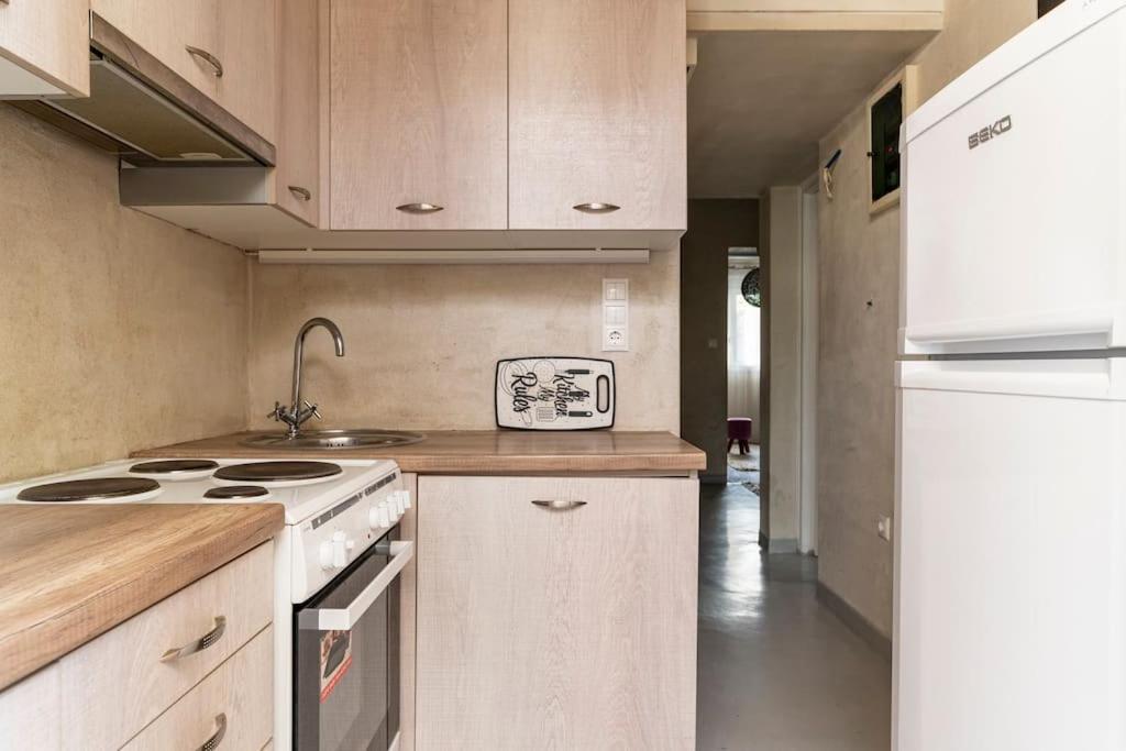 Cute Full Apt W/Backyard In Paleo Faliro 雅典 外观 照片